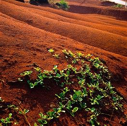 PS5 Pro规格爆料或为真 相关视频被索尼投诉下架